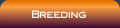 Learn about our breeding program